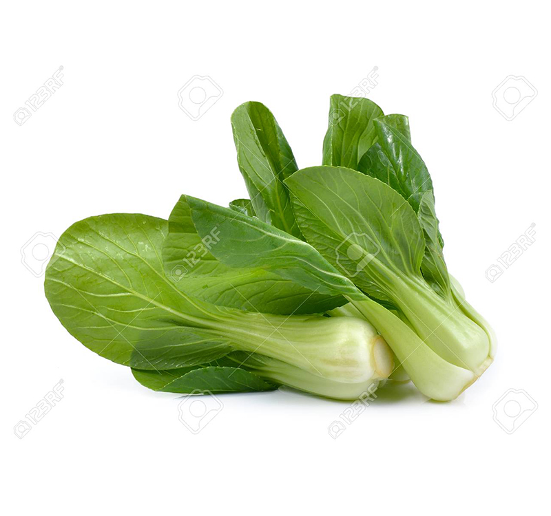 Salad Leaf